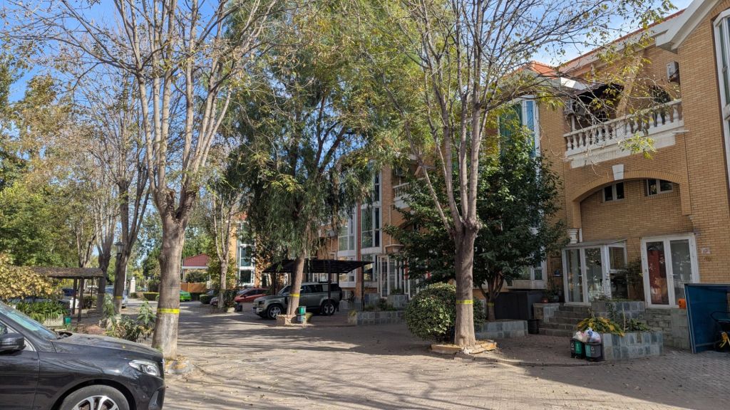 pxl_20241027_043309647730888974505837174